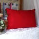 Coussin Flamboyant www.corinnebernardesboutique.com